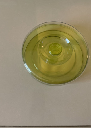 プラスチック  クッキーボックス -イエロー-